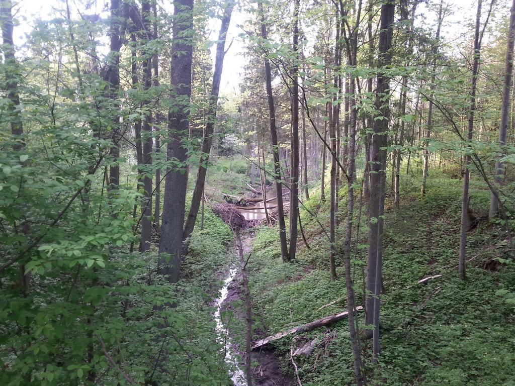 Leilighet Wiejska Szwalk