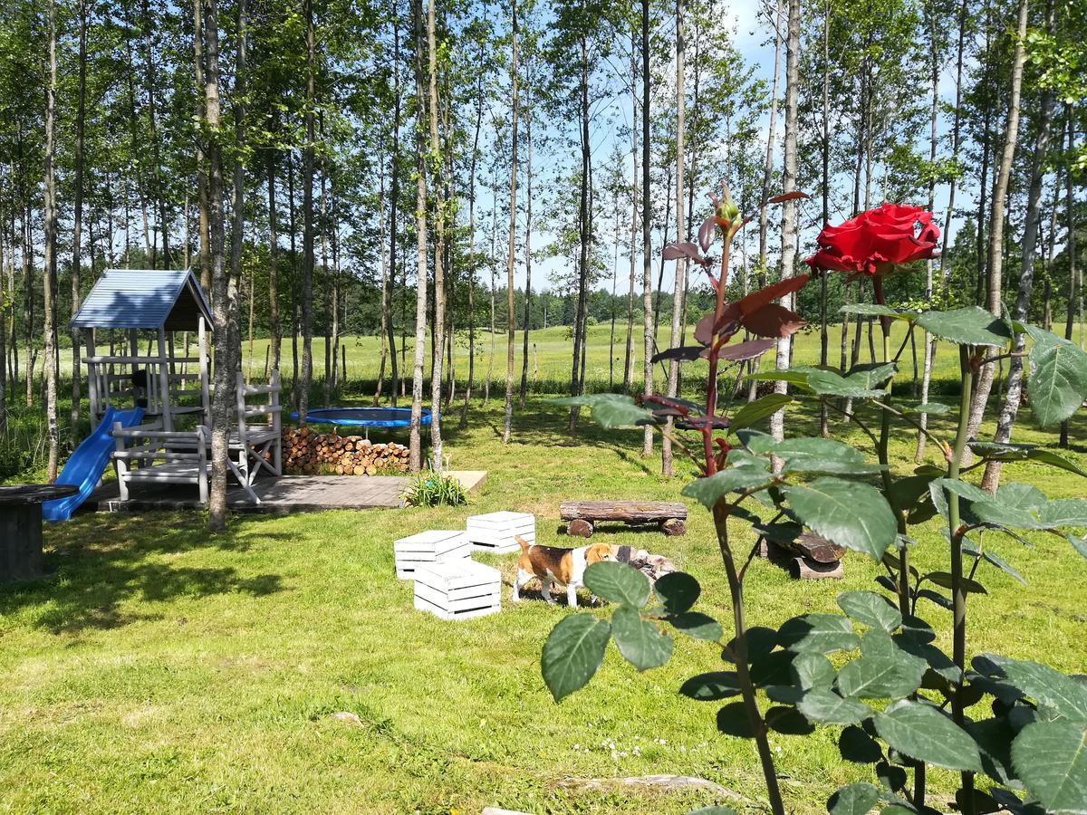 Apartment Wiejska Szwalk